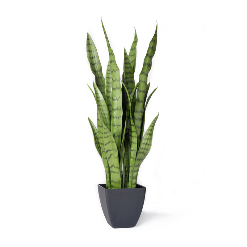 Orren Ellis 28" Artificial Snake plant Plant in Pot & Reviews Wayfair